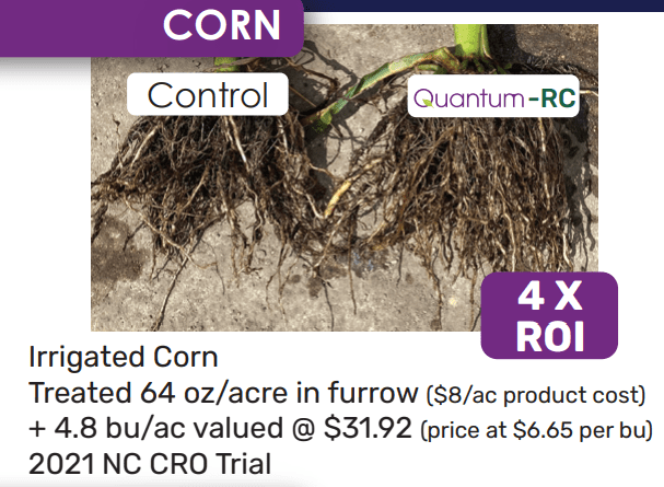 A picture of the corn crop with prices.