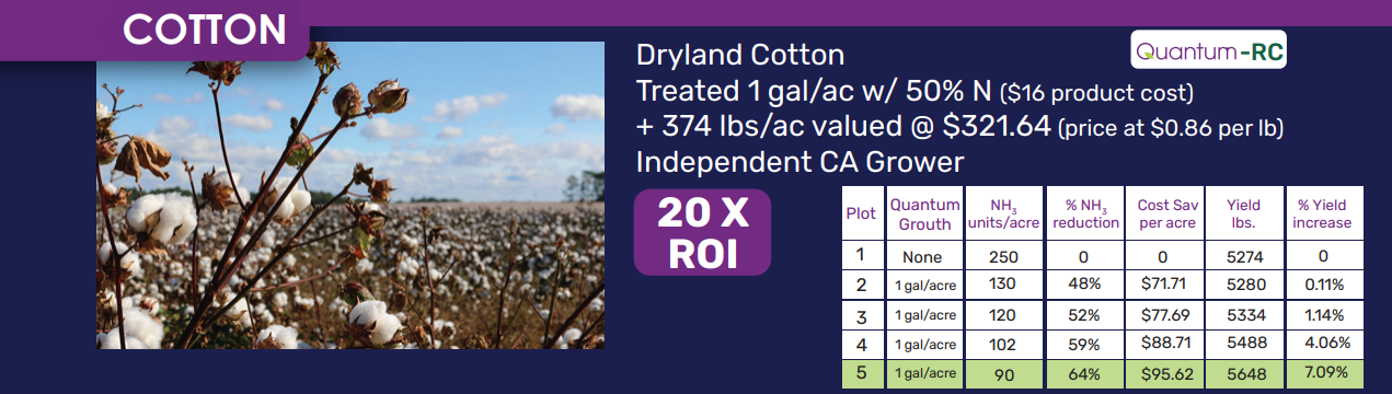 A picture of the dryland cotton field with prices.